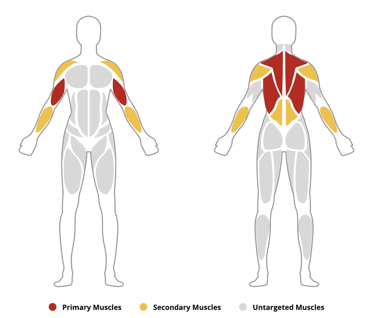 Garmin muscle map front view